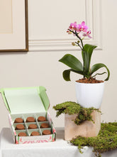 Kit Trufas Melcochudas